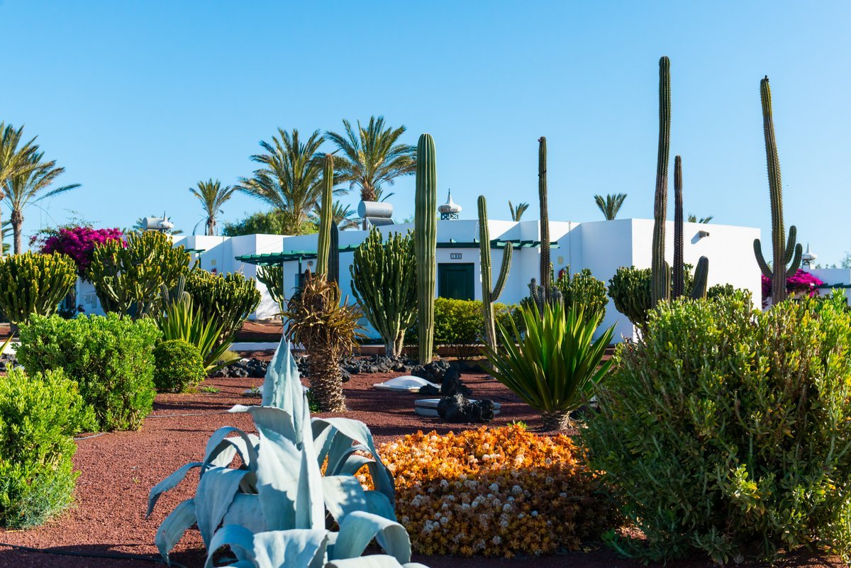 Hôtel HL Club Playa Blanca**** - Lanzarote - 